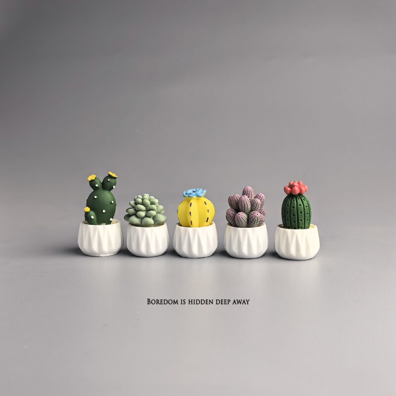 Succulent Set - Potted Cactus Succulent Mini Workstation Office