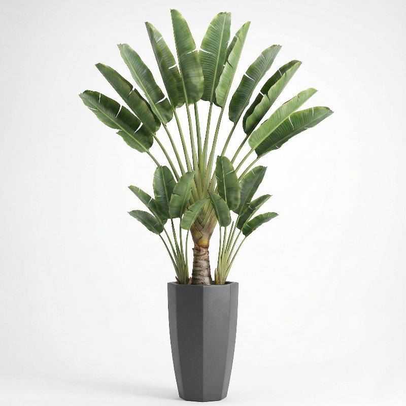 High-Simulation Plastic Fiddle - огляд і ціна Fiddle Leaf Fig