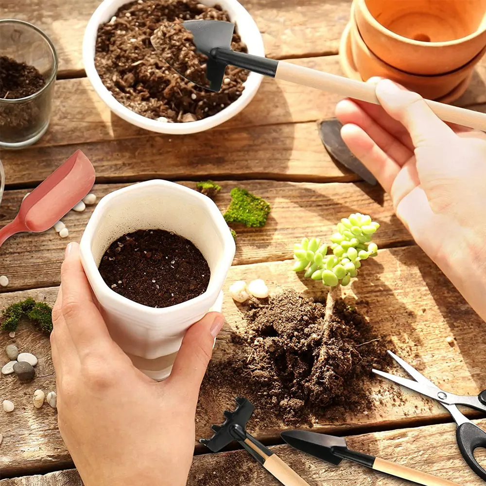 13PCS Succulent Plants Tool Se - огляд і ціна Succulent Set