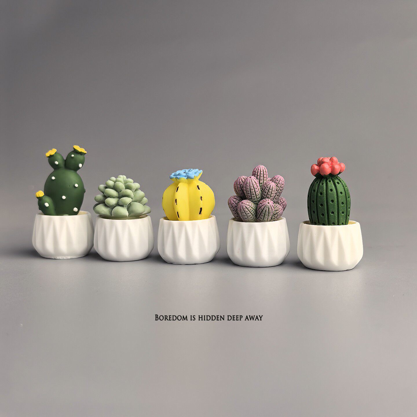 Potted Cactus Succulent Mini W - огляд і ціна Succulent Set