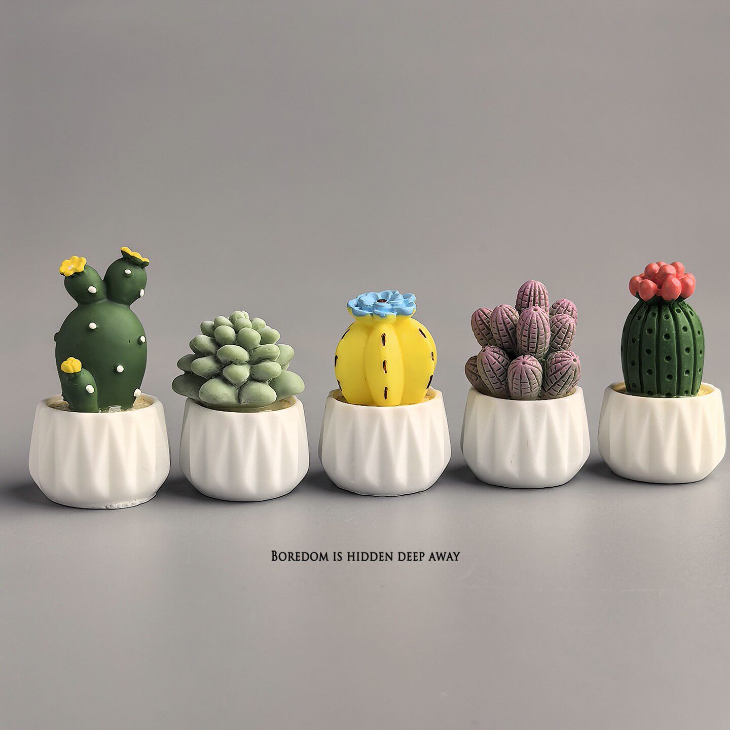 Potted Cactus Succulent Mini W - огляд і ціна Succulent Set