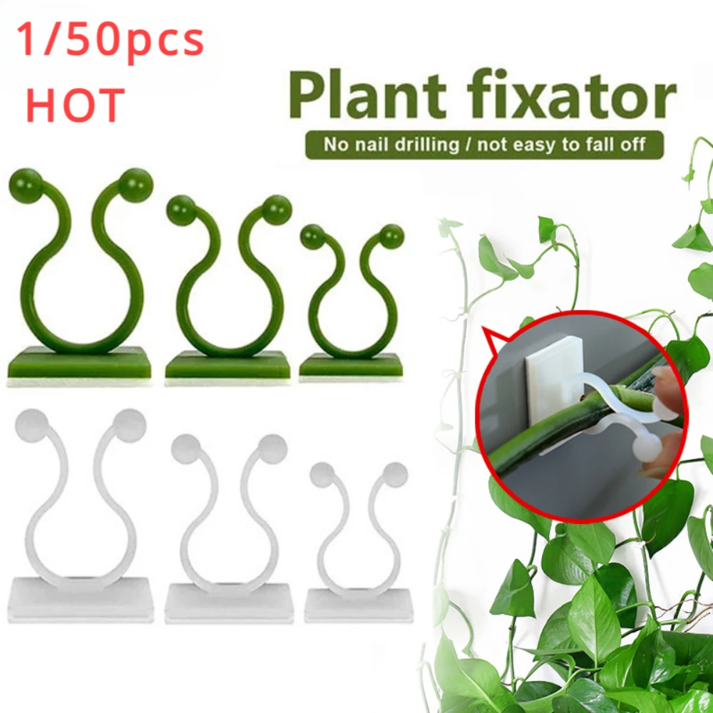 1/30/50Pcs For Garden Accsesor - огляд і ціна Plant Support Stake