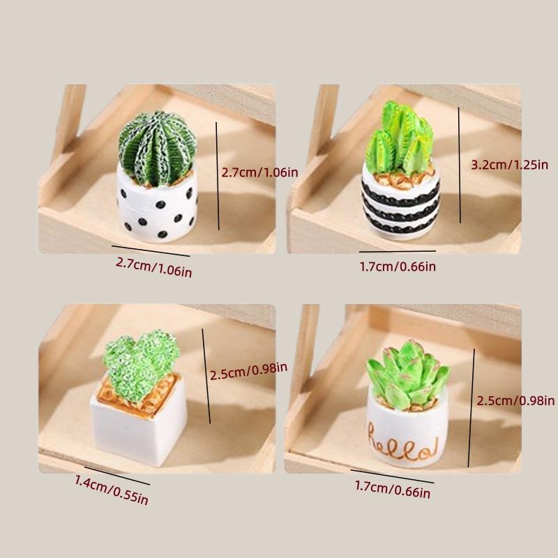 4-Piece Set of Cactus Succulen - огляд і ціна Succulent Set