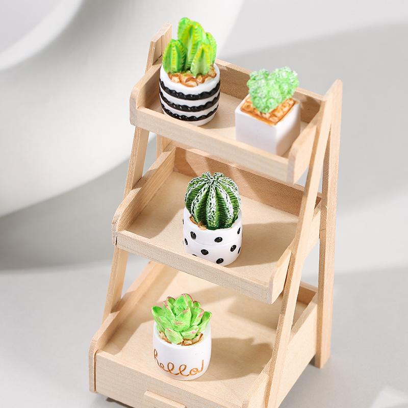 4-Piece Set of Cactus Succulen - огляд і ціна Succulent Set